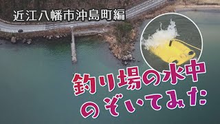 釣り場の水中のぞいてみた：近江八幡市沖島町編