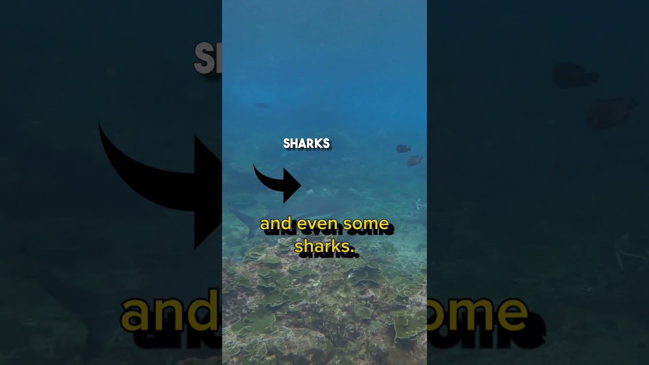 YouTube Short thumbnail