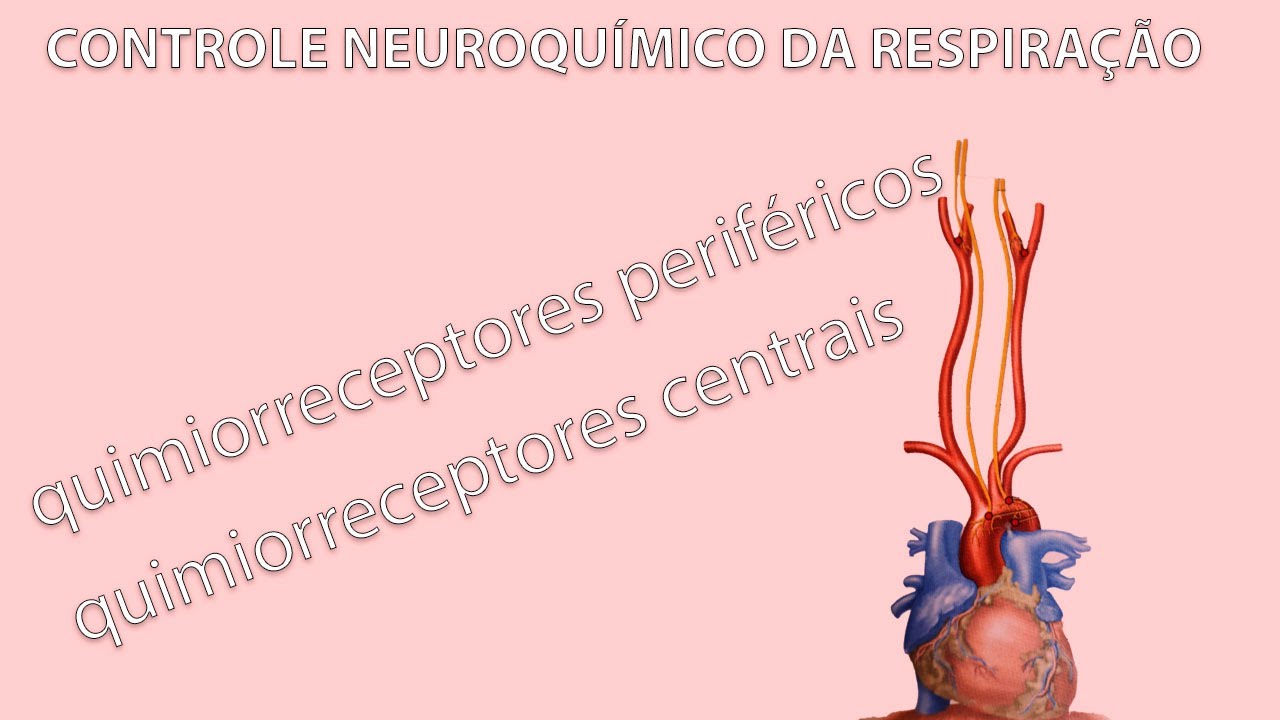 Controle Neuroquímico da Respiração - QUIMIORRECEPTORES CENTRAIS E PERIFÉRICOS