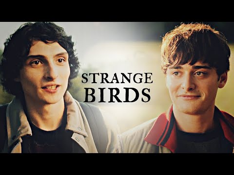 YouTube Thumbnail