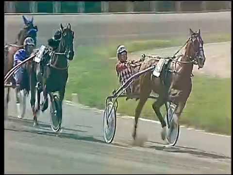 Trotto 27/05/2016 - 4° corsa