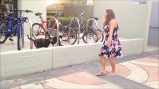 Barbie Cat&#39;s Meow- Alim and Me