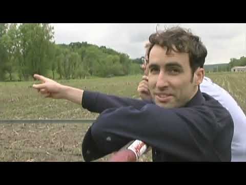 Andrew Bird - Blood (Official Music Video)