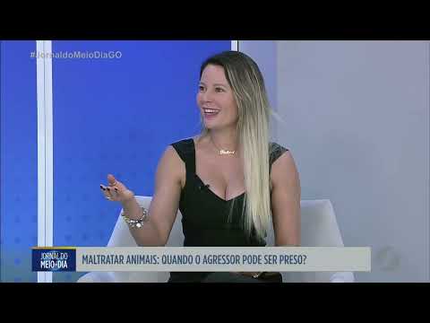 Cachorrinha é agredida e caso é investigado em Inhumas