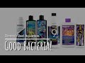 Best Nitrifying Bacteria For Saltwater Aquarium