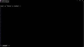 How To Write If Statement In Bash Script