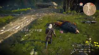 【ウィッチャー3 ワイルドハント】初見攻略。