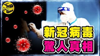 [問卦] 腦洞烏托邦：新冠疫情全由變種病毒導致