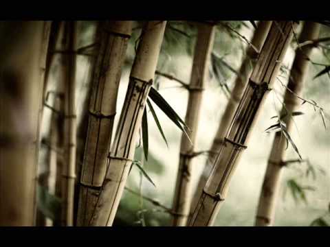 Sied van Riel & Claudia Cazacu - Contrasts (Original Mix) (HQ Sound)