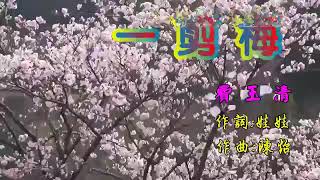 Yi Jian Mei- Fei Yu Qing