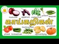 காய்கறிகளின் பெயர்கள் Learn Vegetable Names In Tamil For Kid