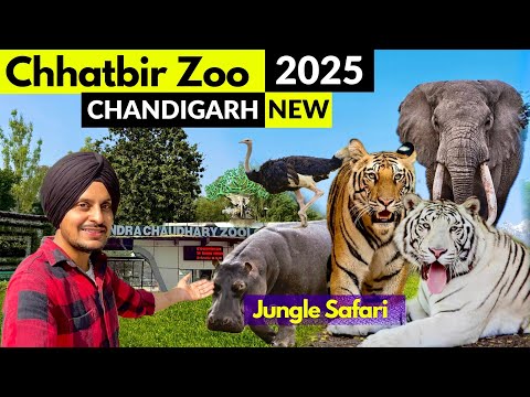 Chhatbir zoo in Chandigarh | Chhatbir Chidiyaghar | Chhatbir Zoo