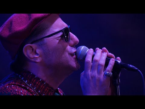 The Bluebeaters - Ancora un giorno (live Summer Chill Out Festival Cologne 2024)