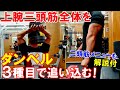 【筋トレ】ダンベル3種目で上腕三頭筋全体を鍛える!ダンベルだけの腕のトレーニングメニュー【解説付】