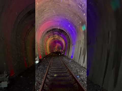 Perfect fall day trip in Korea! 🤩🍂🍁🌾