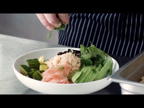 download lagu mp3 mp4 Canned Tuna Bowl, download lagu Canned Tuna Bowl gratis, unduh video klip Canned Tuna Bowl
