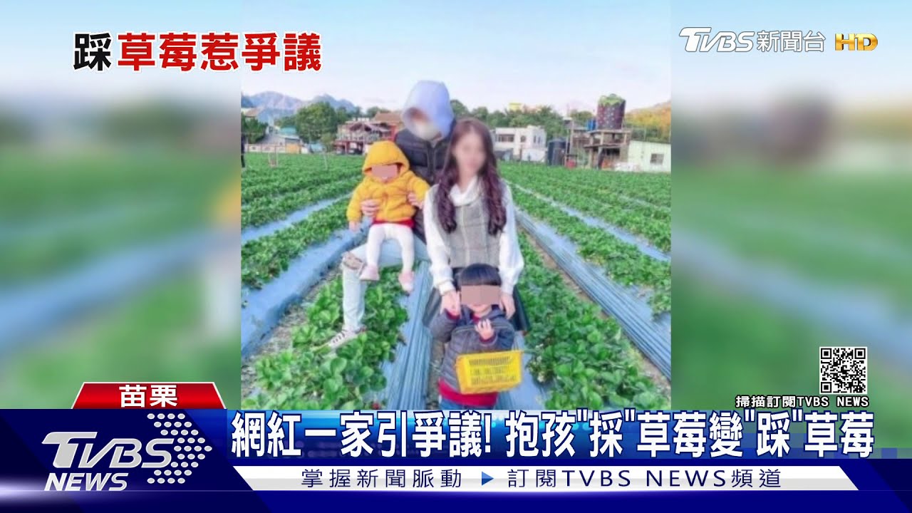 網紅一家引爭議! 抱孩「採」草莓變「踩」草莓
