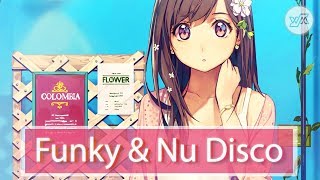 Big Funky &amp; Nu Disco Mix - Best Songs of 2017