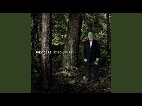 Me The Witness - Joey Cape