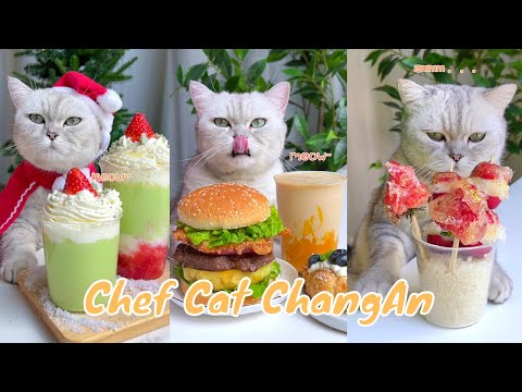 Chef cat changan