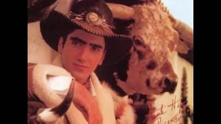 Necesito olvidarla- Alejandro Fernández