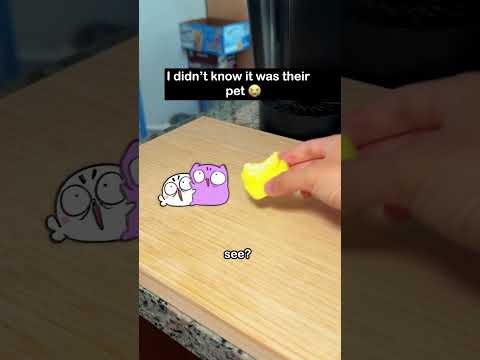 Warning: innocent pet eaten 😔 #animation #cat #cute
