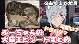 ファルガーのにぎやか犬猫エピソードまとめ【NIJISANJI EN/ファルガー・オーヴィド/Noctyx/日本語字幕/切り抜き】