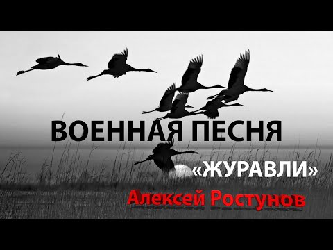 Журавли - Алексей Ростунов. Военные песни @AlexeyRostunov