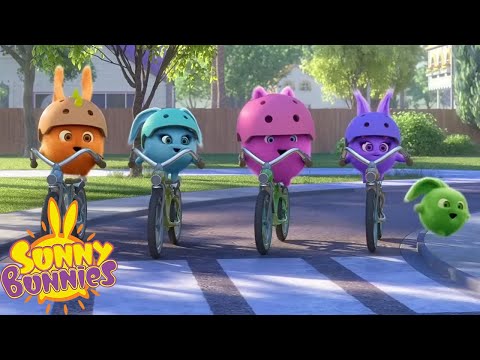 Remember to follow the rules of the road! | Sunny Bunnies | Cartoons For Kids