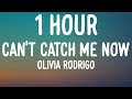 Olivia Rodrigo Can T Catch Me Now 1 HOUR Lyrics From The Hunger Games The Ballad Of Songbirds