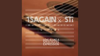 보통의 말과 기타