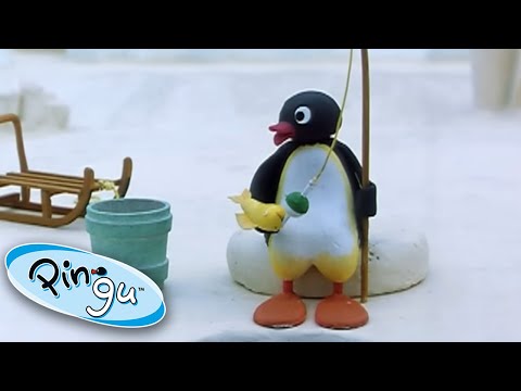 Pingu Catches a Fish! @Pingu β Official Channel Cartoons For Kids - Kids (0-4), Kingdom Kids Zone - Pingu - Official Channel