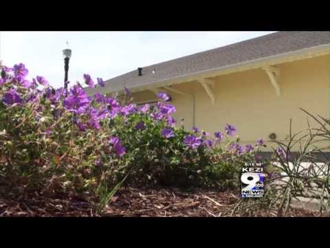 Celebrating Monroe's Library