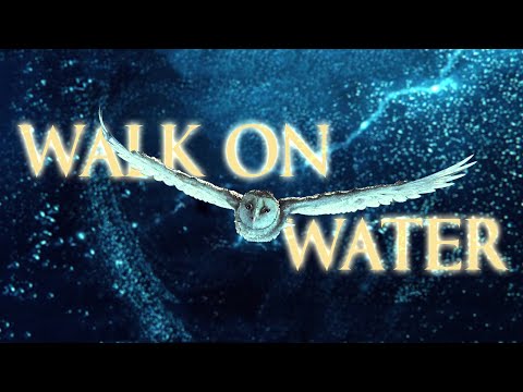 Walk On Water_(ANIMASH_NON/DISNEY)