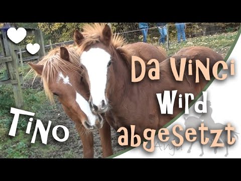 [FMA] Da Vinci wird abgesetzt + zieht zu Tino in die Eifel