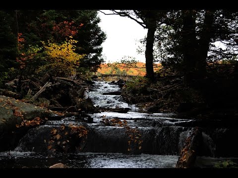 Tisonagan - Takwagi, the season that shortens the days - (part 2)