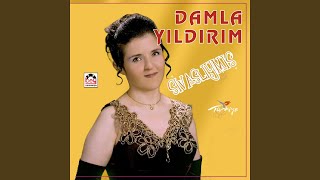 Elmaların Yongası