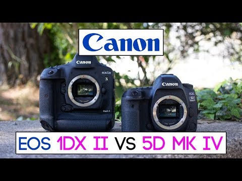Canon EOS 1Dx MK II vs Canon EOS 5D MK IV | das Vollformat-Battle