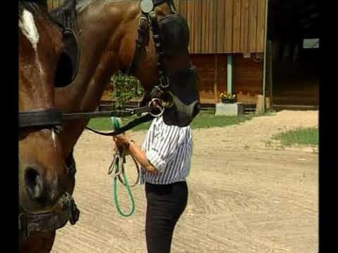 Lovas Oktatófilm 8. - Kettes fogat ki és befogása