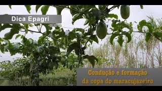 Miniatura do vídeo