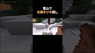 雪山で北極キツネ探し #マイクラ #マインクラフト #まいくら