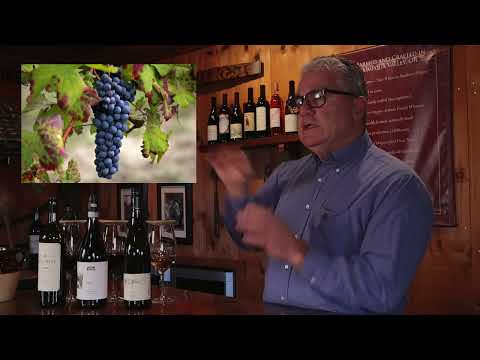 HillCrest March Wine Club '24