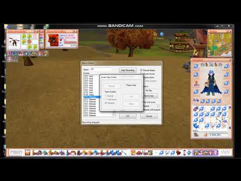 How to Set Up Macro in Flyff