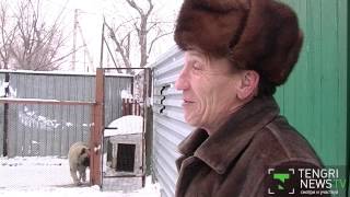 Танцующий пес из Караганды не поедет на ток-шоу в Москву