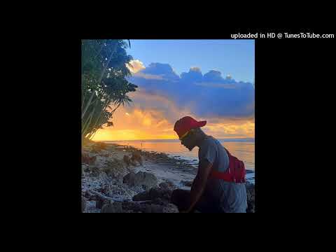 Chu Chu (2022 Remixz) Seanrii (DJ Roz)