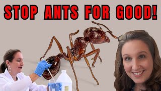 DIY Natural Ant Bait: Effortlessly Eliminate Ants with This Powerful Homemade Recipe!