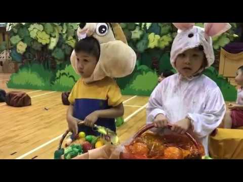 YouTube Video Thumbnail