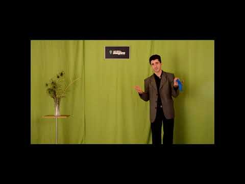 Reelectric "Slow" por Cerebro Mágico. Camil Magia