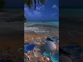 Main Rang Sharbaton Ka Status Arijit Singh Best Status In YouTube Ytshorts Music Animation