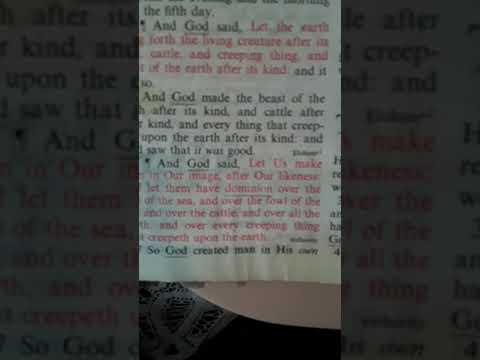 Genesis chapter 1 and chapter 2:1-18